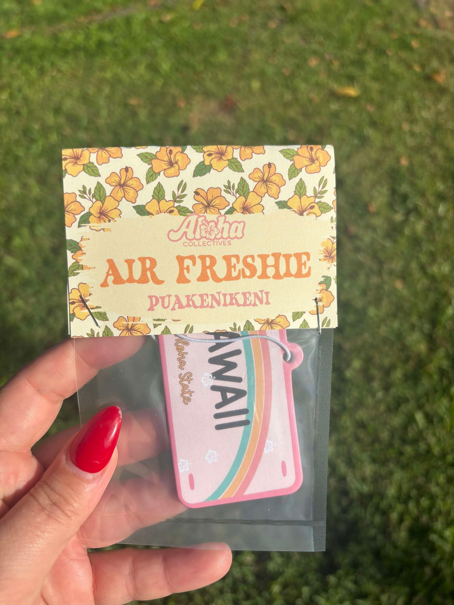 Hawaii License Plate, air freshener