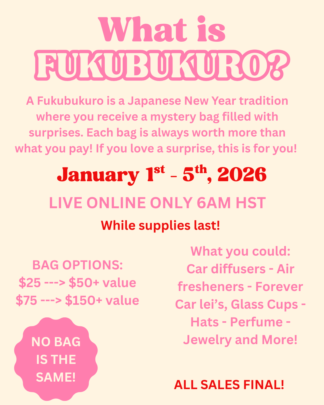 Large Lucky bag! (valued at $150+)